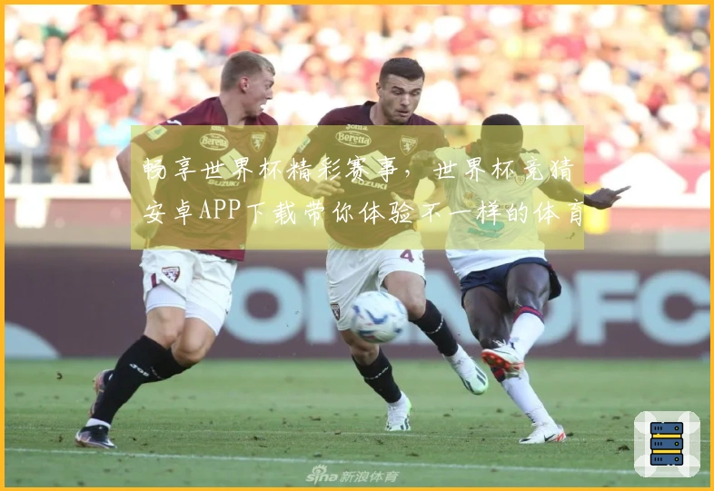 畅享世界杯精彩赛事，世界杯竞猜安卓APP下载带你体验不一样的体育盛宴