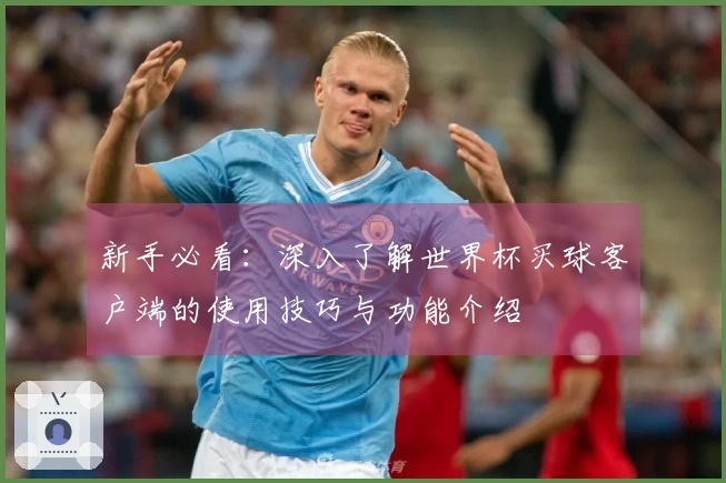 新手必看：深入了解世界杯买球客户端的使用技巧与功能介绍