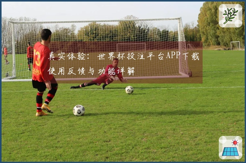 真实体验：世界杯投注平台APP下载使用反馈与功能详解