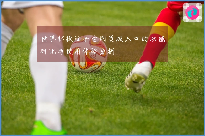 世界杯投注平台网页版入口的功能对比与使用体验分析