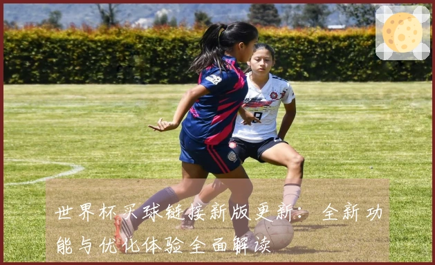 世界杯买球链接新版更新：全新功能与优化体验全面解读