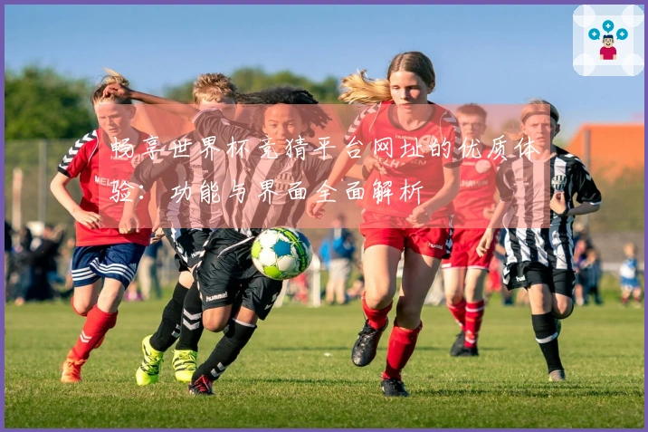 畅享世界杯竞猜平台网址的优质体验：功能与界面全面解析