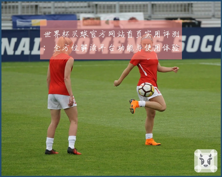 世界杯买球官方网站首页实用评测：全方位解读平台功能与使用体验