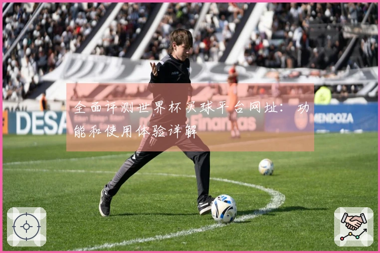 全面评测世界杯买球平台网址：功能和使用体验详解